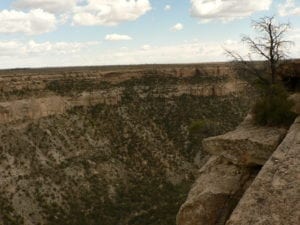 Mesa Verde Wilderness