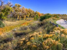 Poudre River National Recreation Trail Colorado