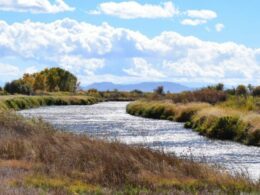 Rio Grande River Trail Alamosa Wildlife Refuge