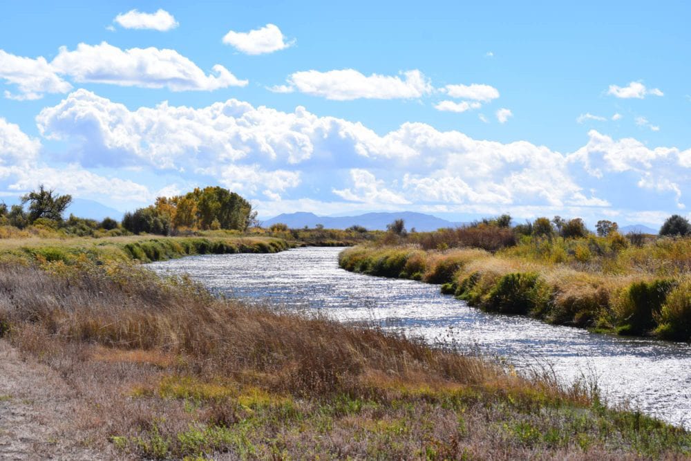 Rio Grande River Trail Alamosa Wildlife Refuge