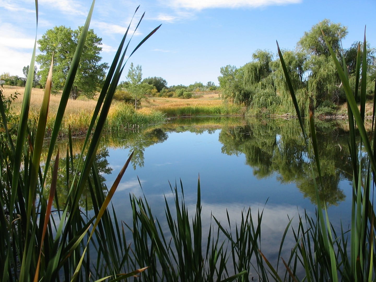 Two Ponds National Recreation Trail Arvada Friends Pond