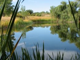 Two Ponds National Recreation Trail Arvada Colorado