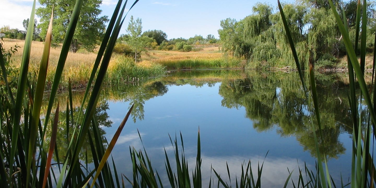 Two Ponds National Recreation Trail Arvada Colorado