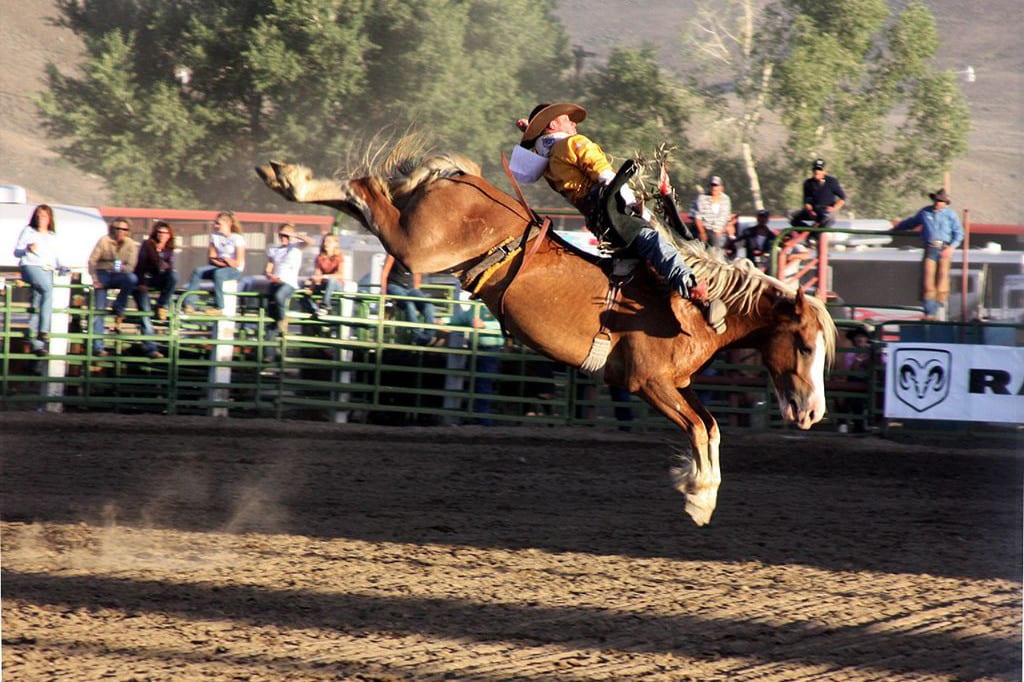 Cattlemen's Days Gunnison Colorado Rodeo