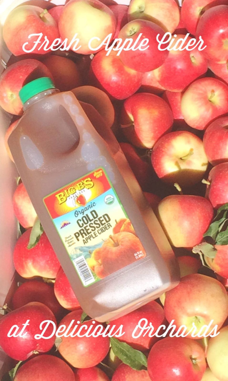 Big B's Juices Apple CIder