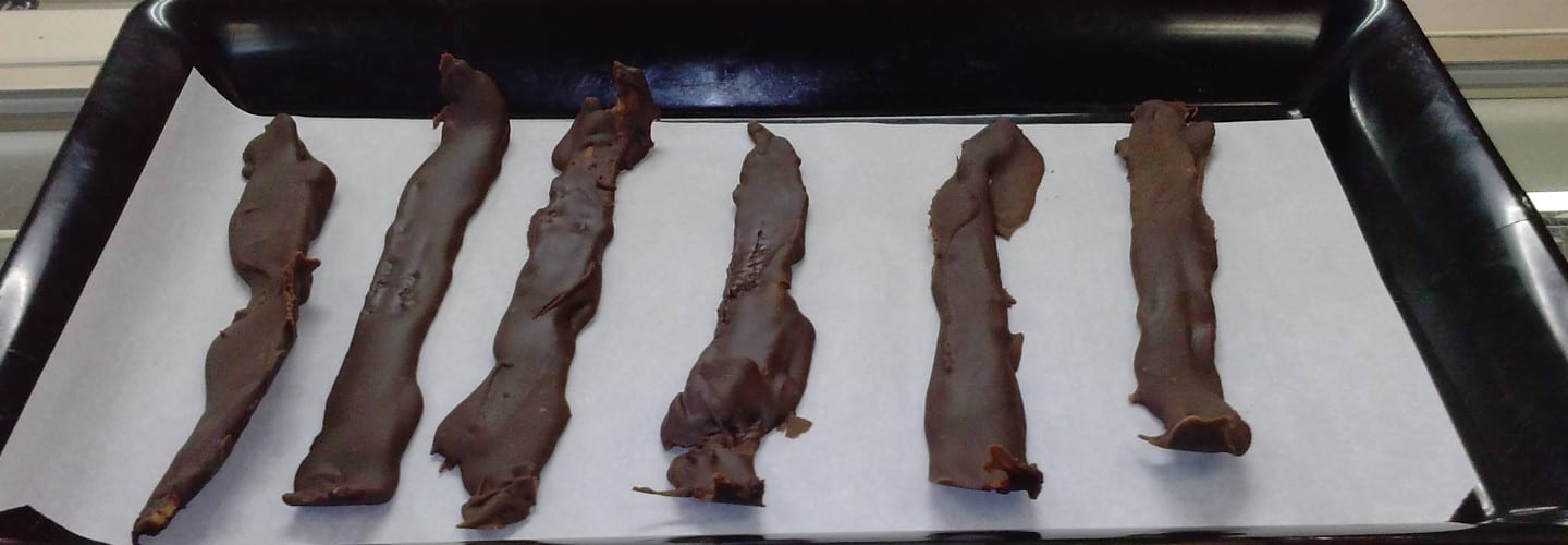 Genesee Candy Land Fudge Factory Chocolate Bacon