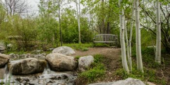 Colorado Wildlife List + Map - Uncover Colorado