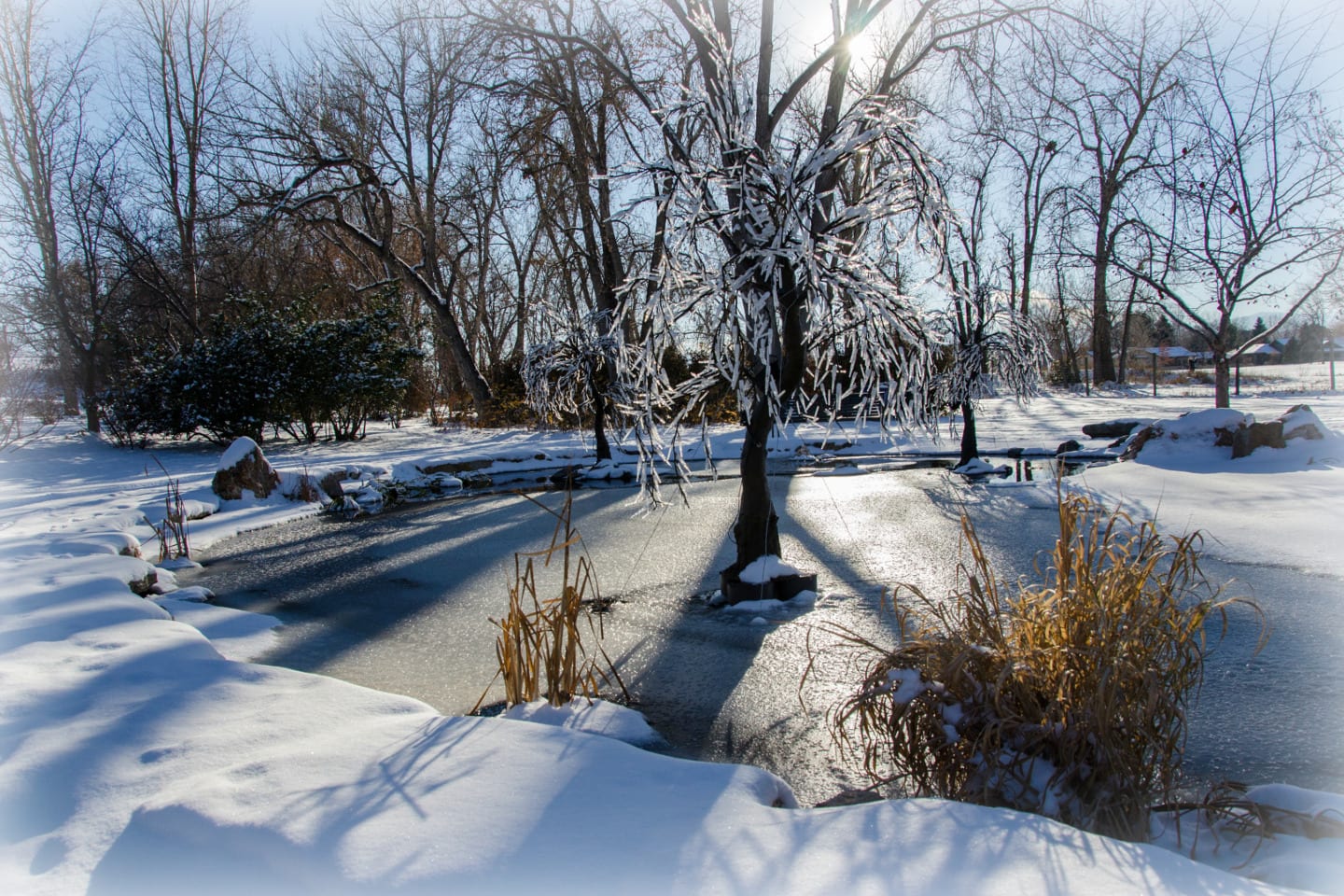 Hudson Gardens Snow Fake Icicle Tree Littleton