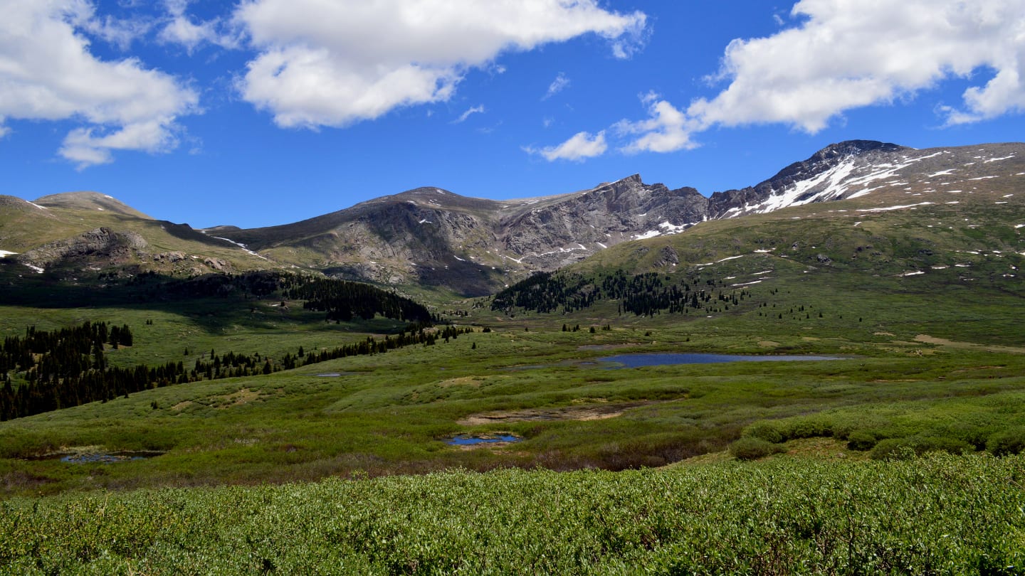 Gunung Bierstadt Georgetown Colorado Musim Panas