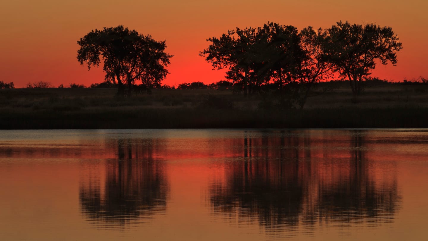 Lake Ladora Rocky Mountain Arsenal National Wildlife Refuge Trees Sunrise Denver