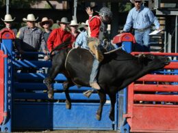 Cowboy's Roundup Days Steamboat Springs Rodeo