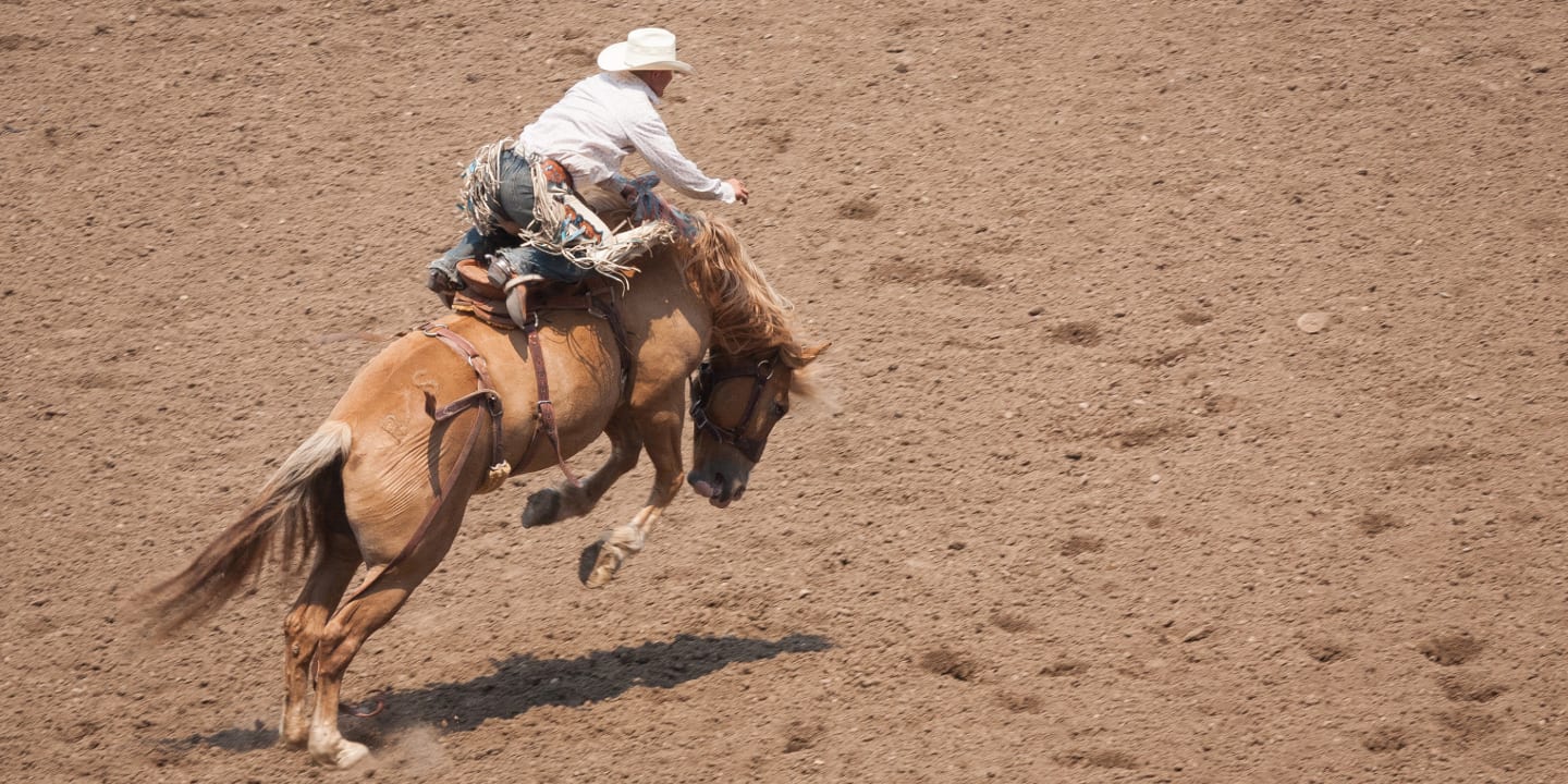 Greeley Stampede Colorado Rodeo