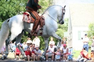 Greeley Stampede Parade White Horse