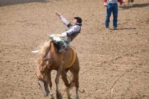 Greeley Stampede Rodeo Cowboy