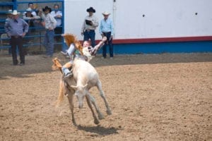 Greeley Stampede Rodeo Cowboy