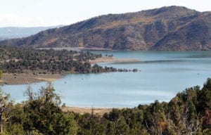 Lake Nighthorse Durango Colorado Trees