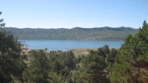 Lake Nighthorse Durango Trees