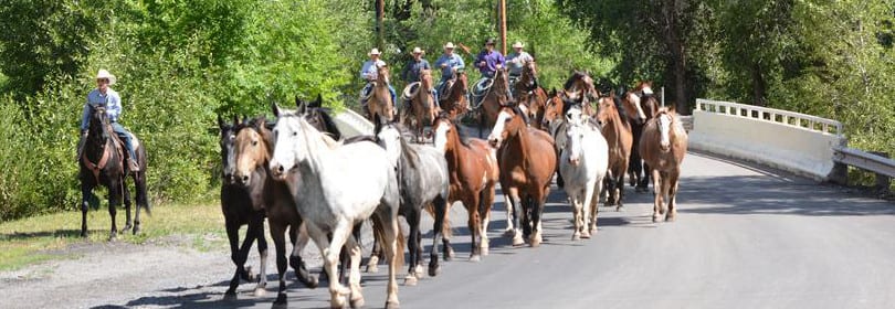 Plateau Valley Heritage Days Parade
