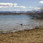 Standley Lake Spring Westminser