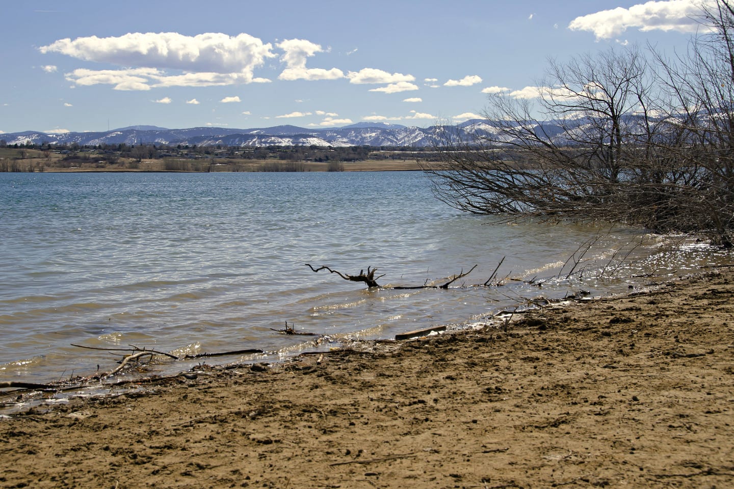 Standley Lake Spring Westminser
