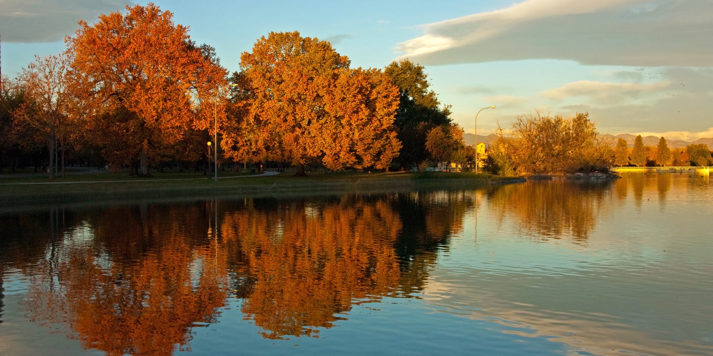 City Park Denver Fall Morning