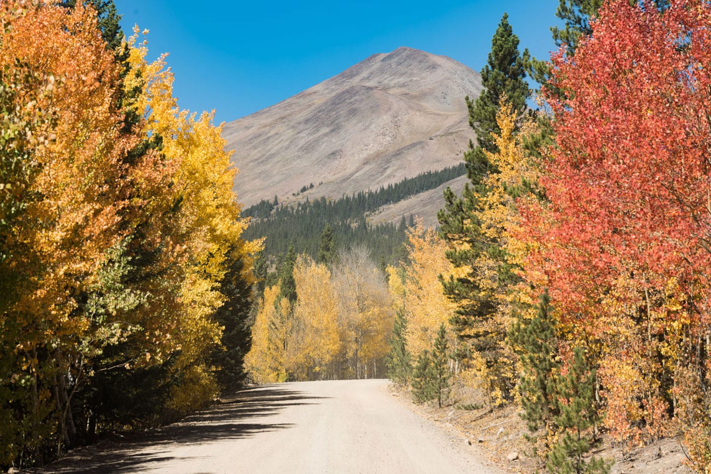Fall Colors Boreas Pass Autumn Drive