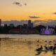 Colorado Vacations Trips City Park Sunset Geese