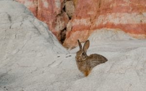 Paint Mines Interpretive Park