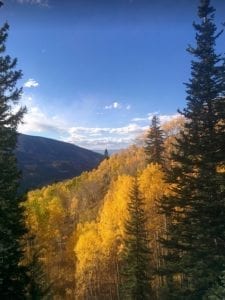 Visit Colorado Fall Autumn Yellow Aspens