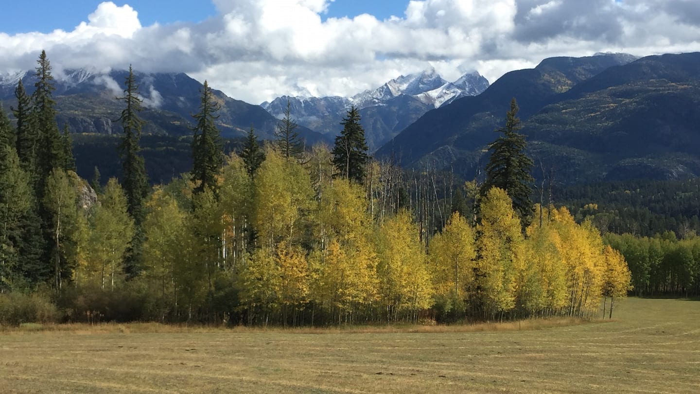 Fall Colors Million Dollar Highway Southwest Colorado