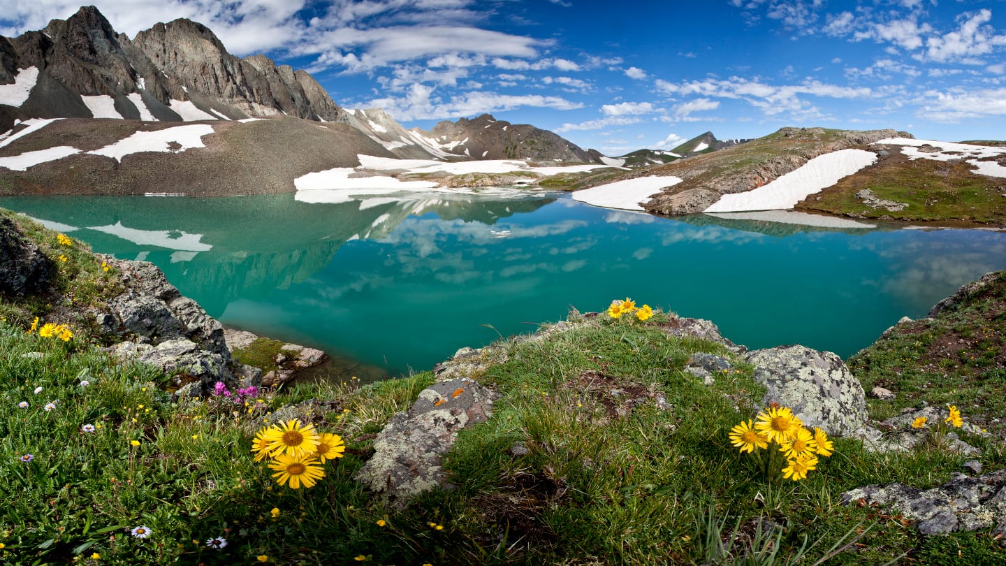 Colorado Scenery Alpine Loop Mountain Lake Flowers