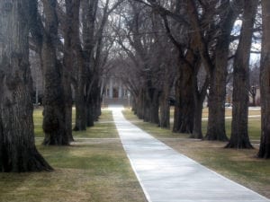 Colorado State University Administrative Building Path