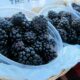 Best Denver Farmers Markets Old South Pearl Blackberries