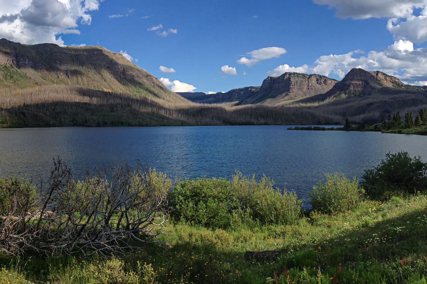 Penangkap Keajaiban Alam Danau Colorado