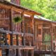 Rainbow Trout Ranch Antonito CO