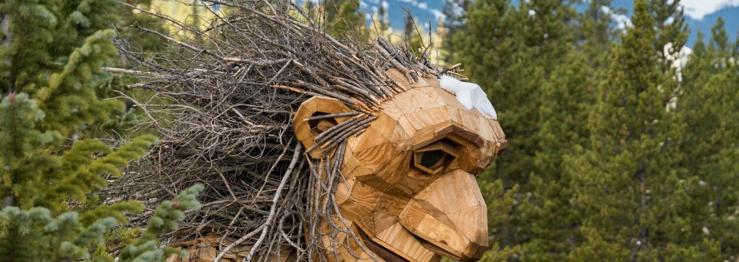 Breckenridge Troll Colorado