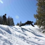 Vail Ski Resort Front Flip