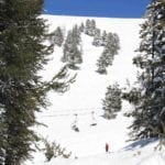 Vail Ski Resort Bowl Trees