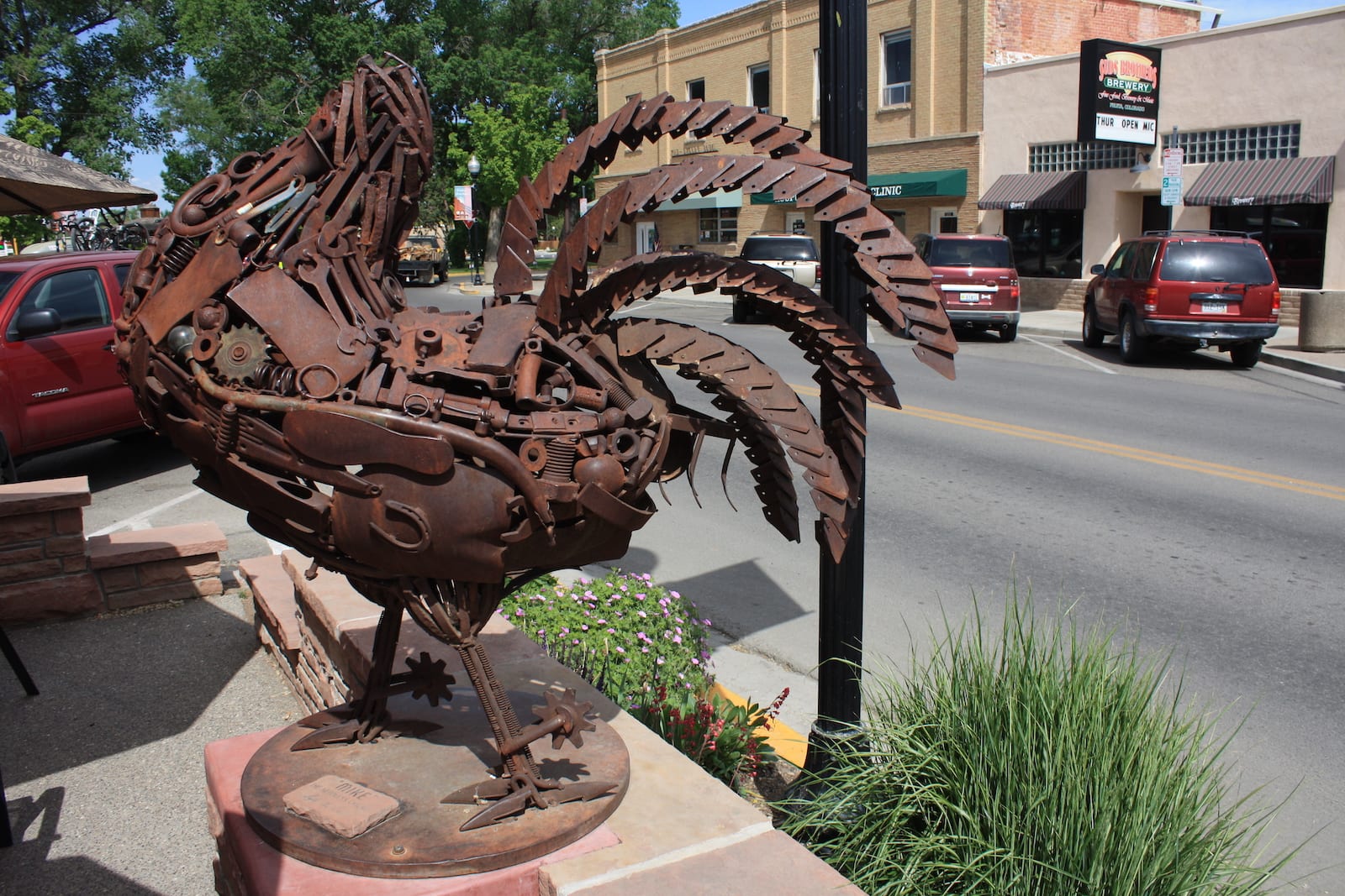 Mike the Headless Chicken, Colorado