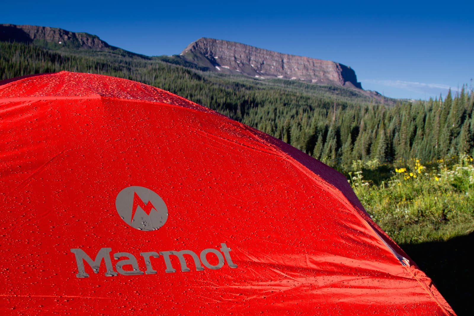 Tent Camping Marmot Mountain Mesa