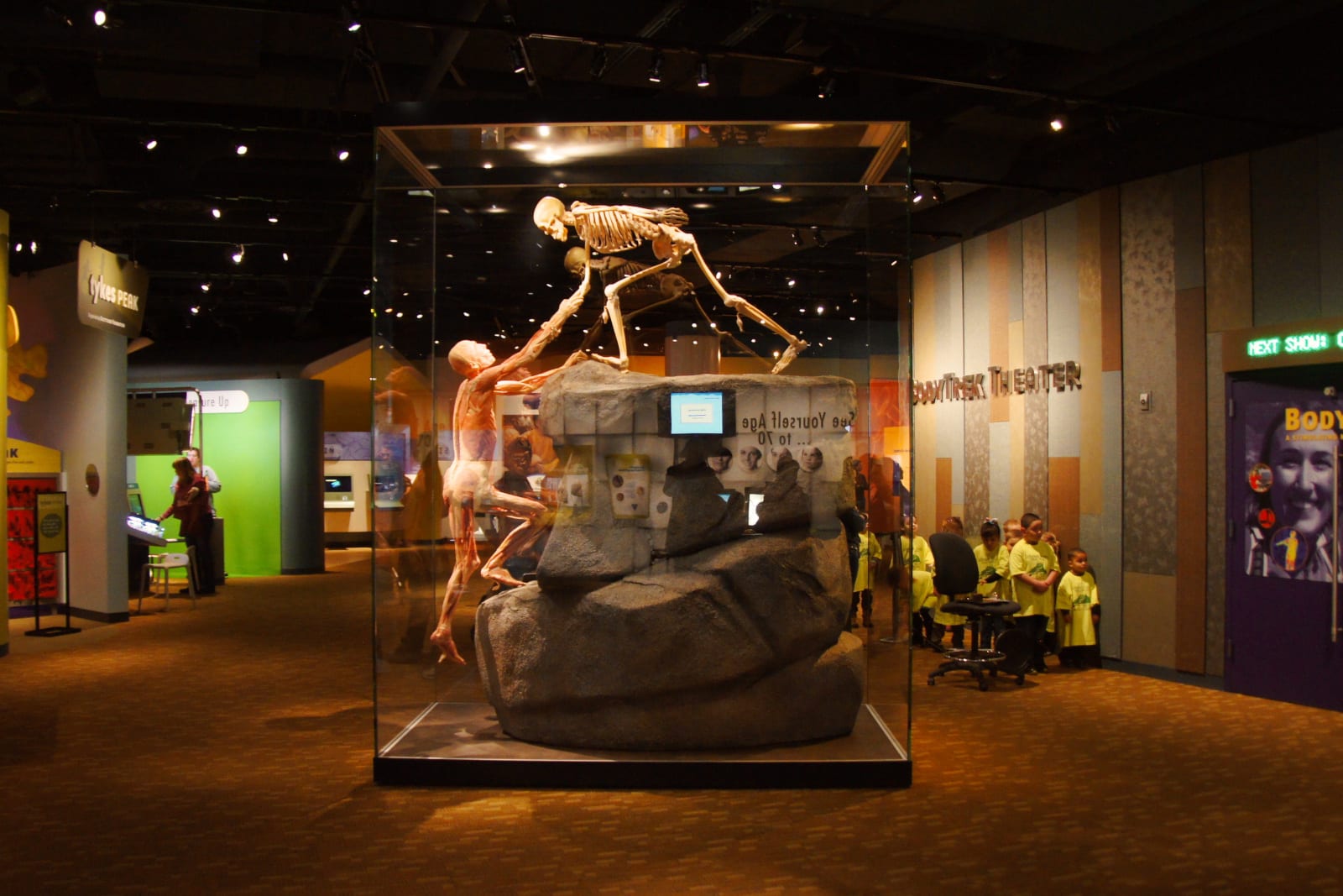 Culture Attraction Denver Museum of Nature and Science Expedition Health