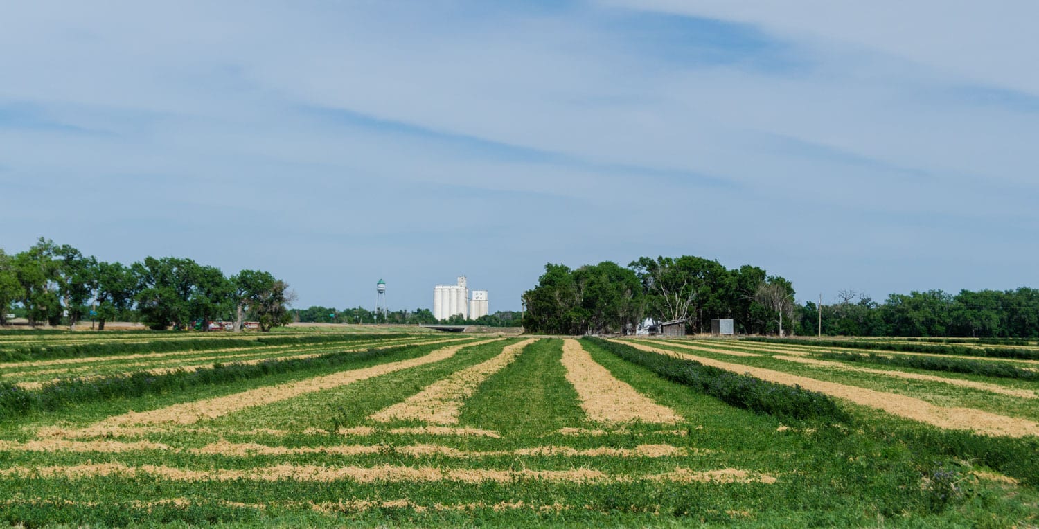 Granada CO Farmland