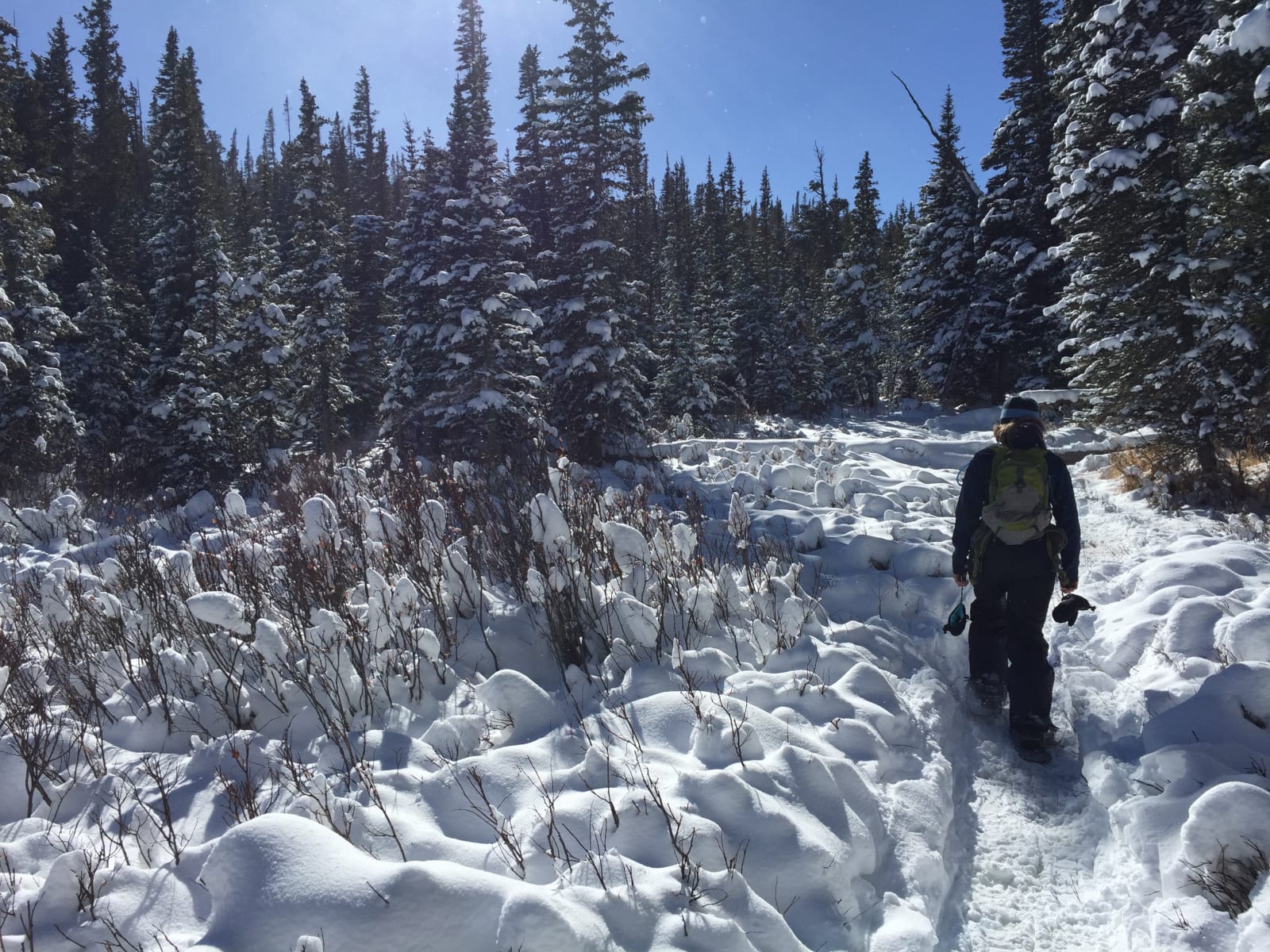 Johnstown CO Winter Snowshoeing