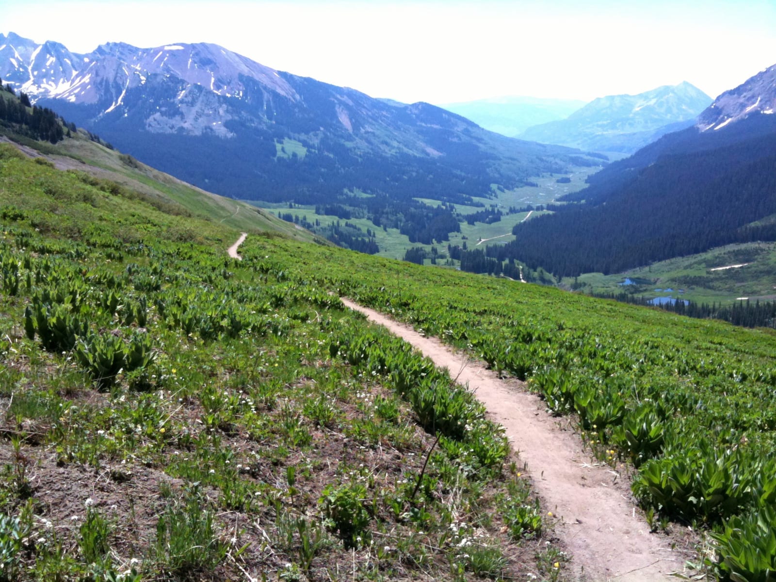 Mountain Biking 401 Singletrack Trail Crested Butte Colorado