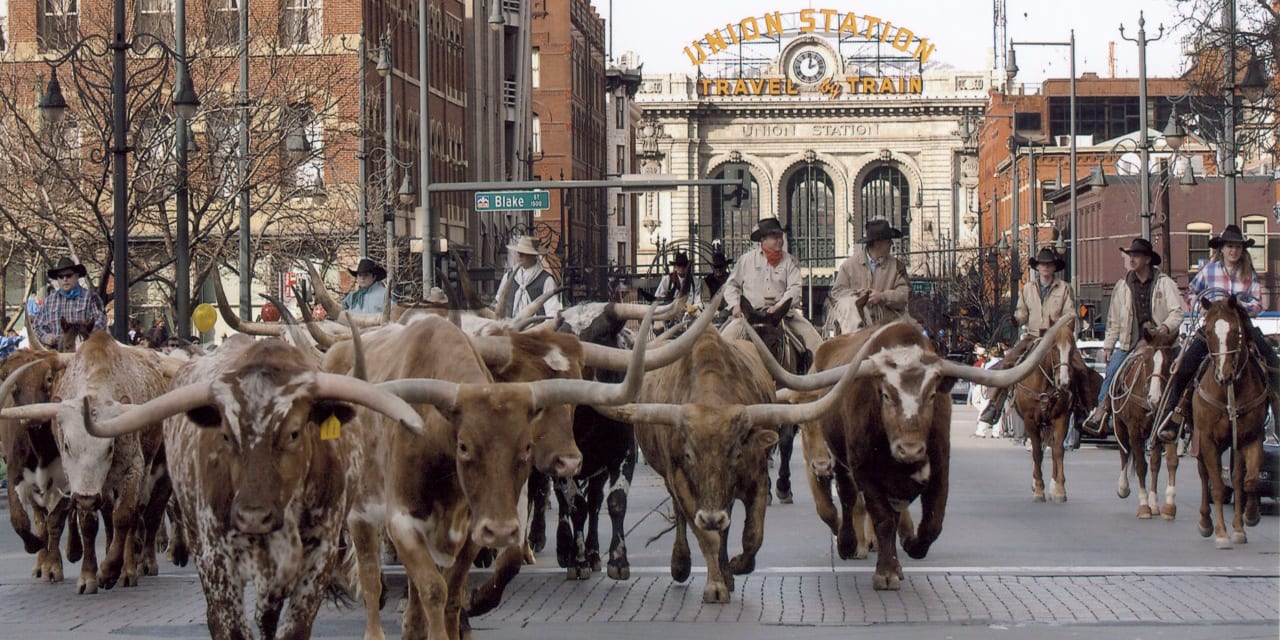 Winter Colorado Events National Western Stock Show Parade