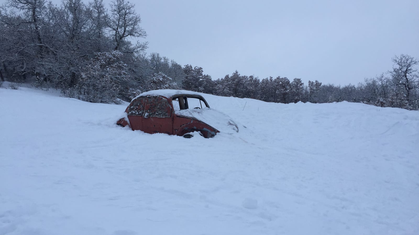 Perjalanan Musim Dingin Colorado VW Punch Bu Area Ski Hesperus