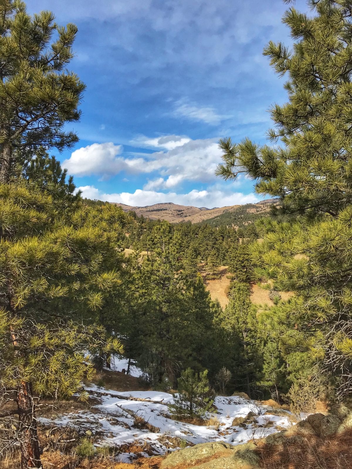 image of Canyon Loop trail near Boulder, CO