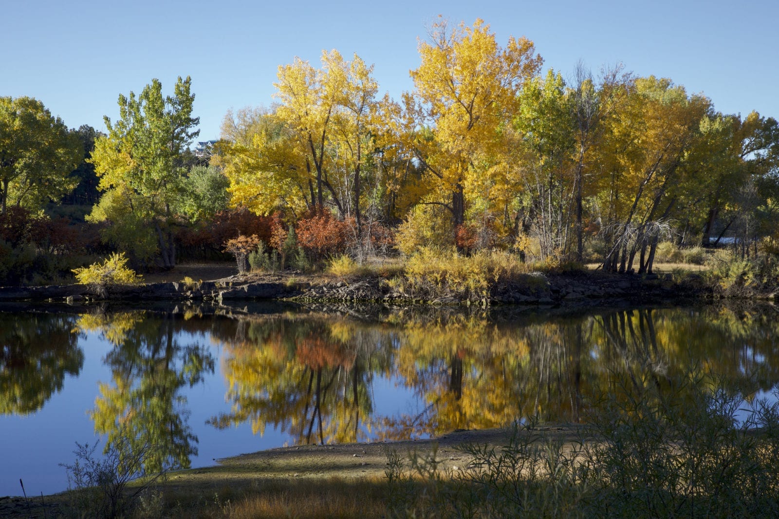 image of reservoir at Mancos State Park