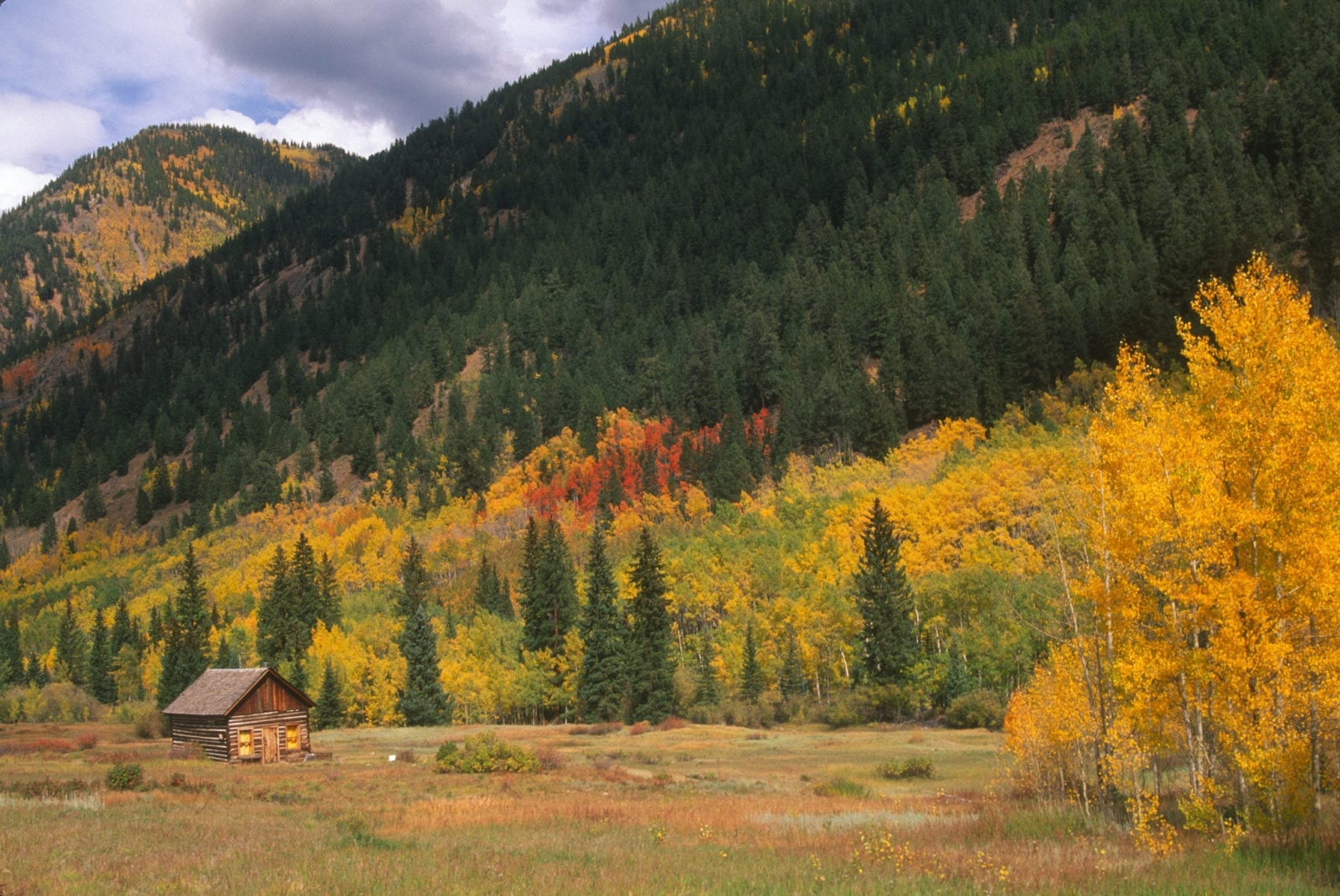 image of fall colors at Sylvan Lake State Park