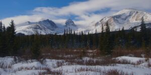 Brainard Lake Recreation Area Colorado Snowshoeing Trail